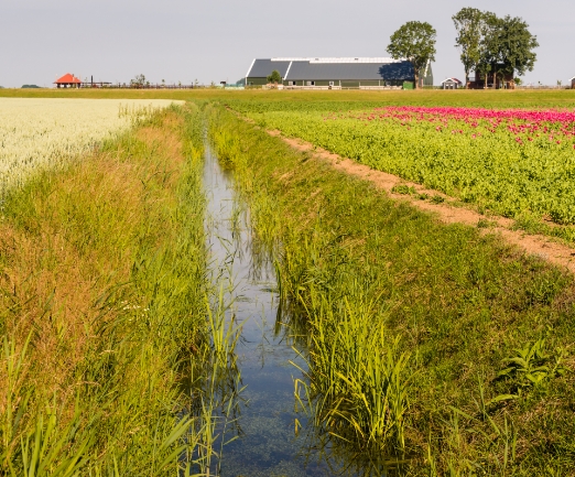 Our agricultural services boost farm productivity with specialised land drainage and water management.